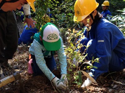 植栽作業中